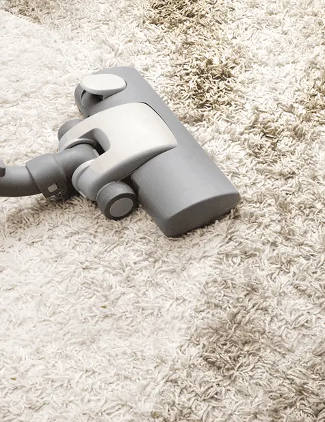 carpet cleaning