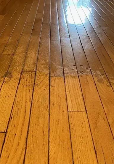 hardwood floor cleaning