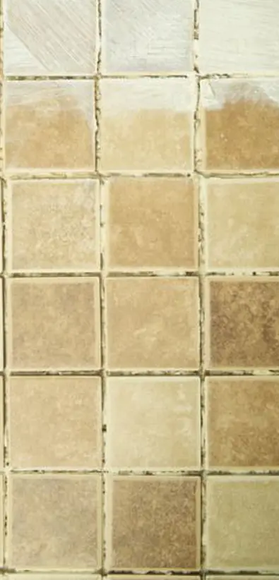 tile and grout cleaning